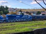 RUMO 9598